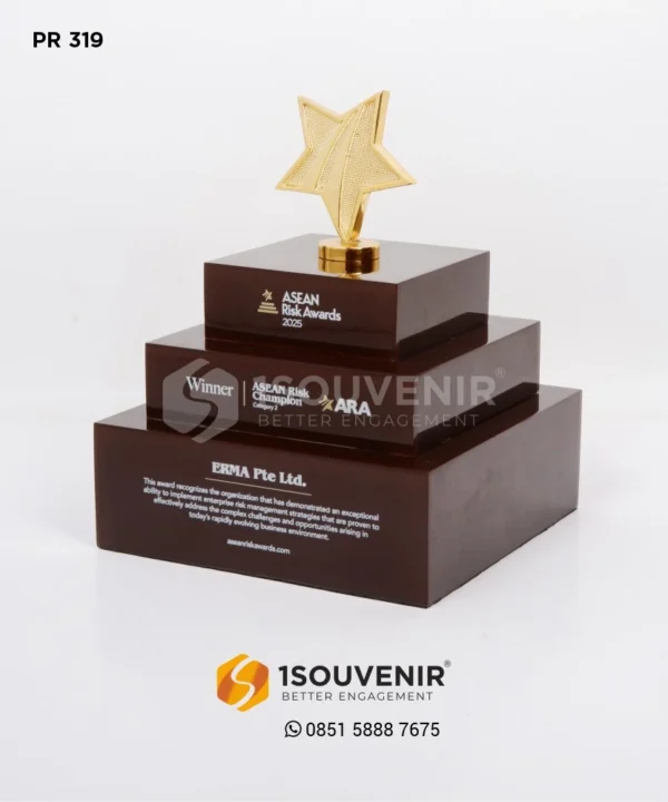 PR319 Plakat Resin ASEAN Risk Awards