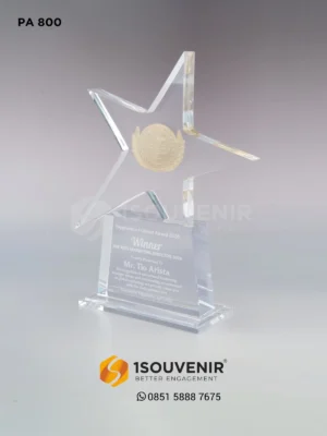 Plakat Akrilik Penghargaan Topprene…
