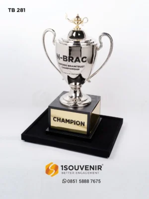 Piala Bergilir Nursing Braintrust C…